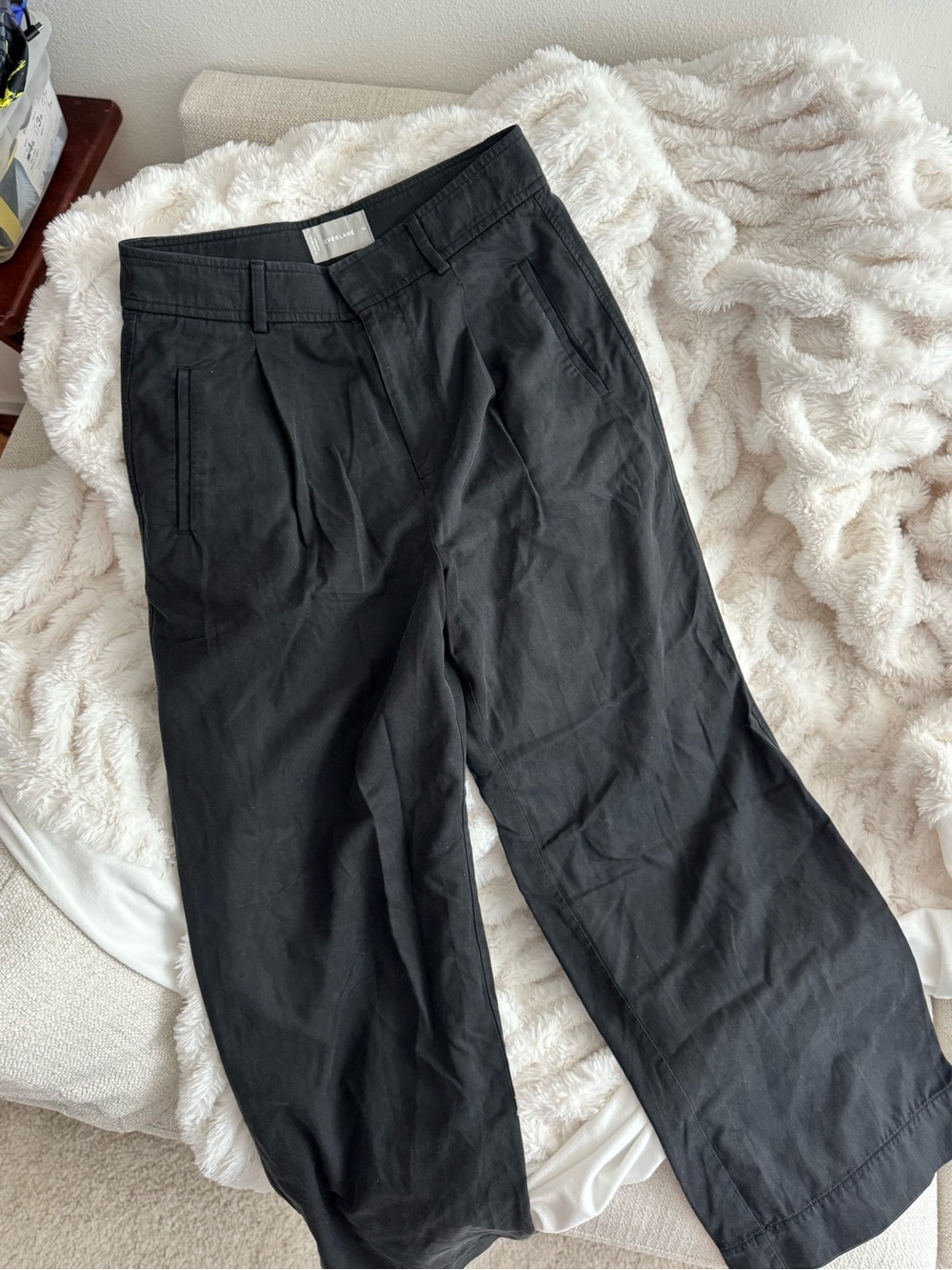 Everlane Black Wide Leg Pleated Pants
